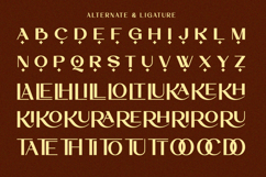 Rochela - Luxury Ligature Sans Serif Font Product Image 10