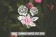 20 Rose Flower SVG I Rose Flower Vinyl Decal, Paper Cut Rose Product Image 11