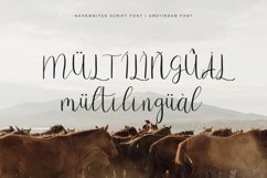 Amstirdam | Handwritten Script Product Image 10