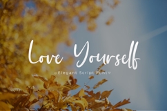 Autumnilla - Elegant Script Font Product Image 10