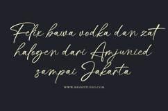 Mastine Elegant Handwritten Font Product Image 10