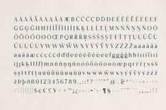 Typhera Elegant Serif Font Product Image 10