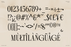 Rekogil - Luxury Serif Font for Branding Product Image 10