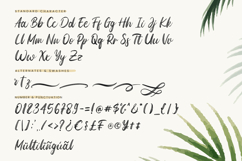 Bellustro - Brush Script Font Product Image 10