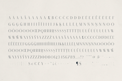 Nymere A Modern High-Contrast Font Product Image 10