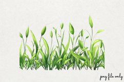 Watercolor Grass Borders Clipart PNG Product Image 1