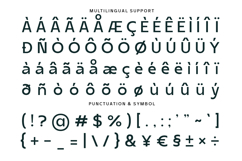 Seragil - Neo Grotesk Typeface Product Image 10