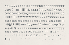 Dentra Refined Serif with Soul Product Image 10