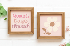 Rose Chant - Handwritten Script Font Product Image 10
