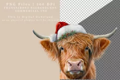 Christmas highland cow clipart, Christmas clipart, Product Image 3