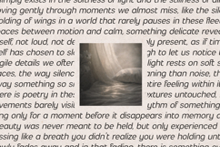 LUMA Prime Modern Typeface Product Image 10