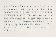 Eldure Timeless Serif Font Product Image 10