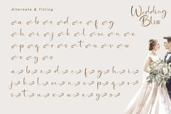 Wedding Bliss Product Image 10