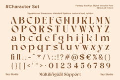 Fantasy Brooklyn - Stylish Ligature Serif Font Product Image 10