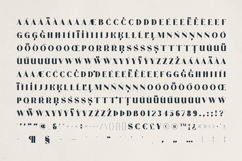 Veloura Serif Font Elegant Type Product Image 10
