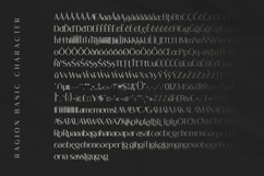 Ragion | Sans Serif Font Product Image 10