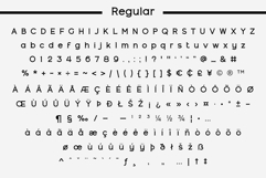 Fox Damian: 5 Font Styles Product Image 10