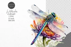 Dragonfly clipart, Flower clipart, Summer clipart Product Image 1