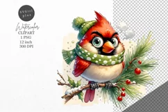 Christmas clipart|Cardinal clipart|Christmas sublimation Product Image 1