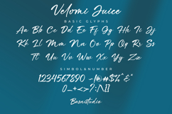 Velomi Juice Elegant Handwritten Font Product Image 10