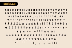 Fox Cynthia : 4 Font Style Product Image 10