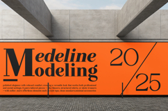 Quinela - Luxury Serif Family with 6 Weights Product Image 10