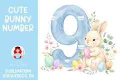 Easter Bunny Number 0-9 PNGs,Baby Shower Sublimation Design Product Image 11