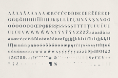Orivian A Refined Serif Font Product Image 10