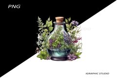 Watercolor herbs bottle clipart Product Image 1