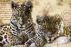 ANIMAL Printable Illustrations Pack # 22 graphics JPG Product Image 1