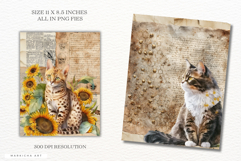 Ephemera Spring Cats Junk Journal Png Product Image 2