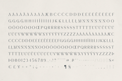 Ankoa A Refined Display Font Product Image 10