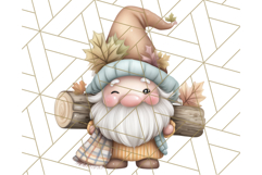 Fall Gnome Clipart PNG Cute Thanksgiving Gnomes Product Image 2