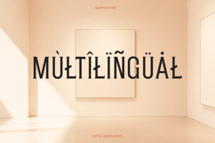 Athelya - Condensed Serif Font Product Image 10