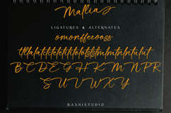Mallia Handwritten Font Product Image 10
