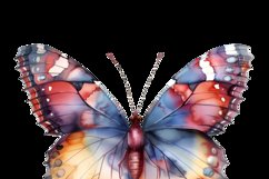 Butterflies With Flowers Clipart Bundle Product Image 11