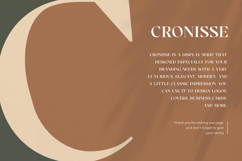 Cronisse - Modern Display Serif Product Image 10