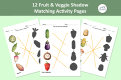 PreSchool 12 Fruit Vegetable Shadow Matching Activity Pages Product Image 10