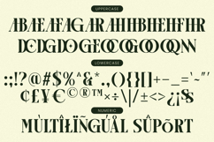 Arogel - Luxury Ligature Serif Font Product Image 10