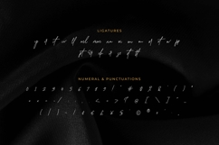 Handestonie - Signature Product Image 10