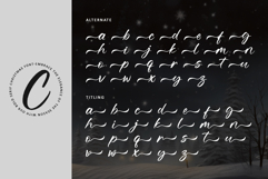 Christmas Merryland Product Image 10