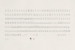 Sorrelia Elegant Display Serif Product Image 10