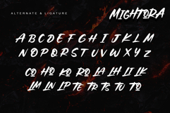 Mightora Product Image 10
