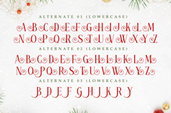 Marry Christmas - Elegant Decorative Font Product Image 10