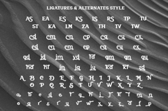 Bruleni - Modern Bold Font Product Image 10