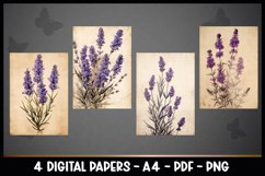 4 Digital Papers Vintage Florals I Vintage Theme Product Image 2