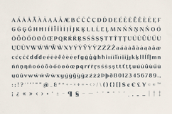 Fyntra Modern Elegant Display Font Product Image 10