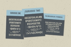 Survious Vintage Font Collection Product Image 10