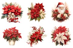 Christmas Poinsettia Clipart, Set of 20 Png Bundle Product Image 4
