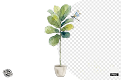 Summer Wildflowers &amp; Bird &amp; Insect Clipart - Houseplant PNG Product Image 1